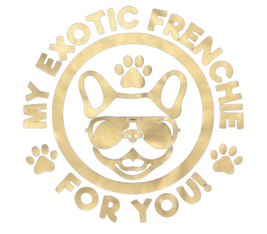 My Exotic Frenchie | Adopt a French Bulldog!